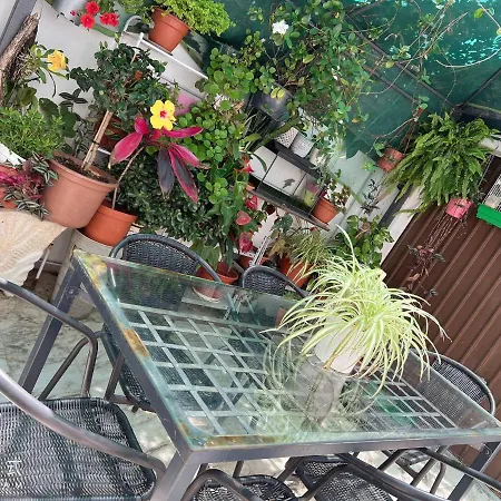 Dom wakacyjny Octavio Wesley Portimão